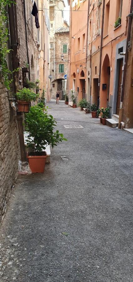B&B Serena Perugia Exteriér fotografie
