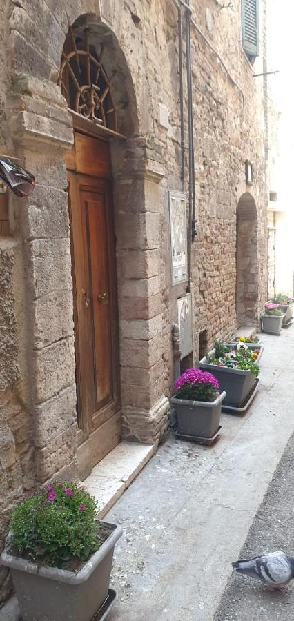 B&B Serena Perugia Exteriér fotografie